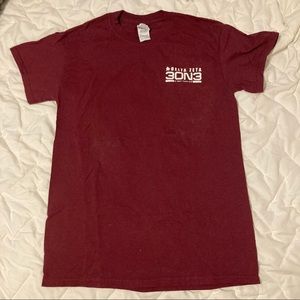 Maroon Delta Zeta Tshirt